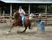 Costa Rica-Guanacaste-Ranches, Volcanoes & Beaches in Guanacaste